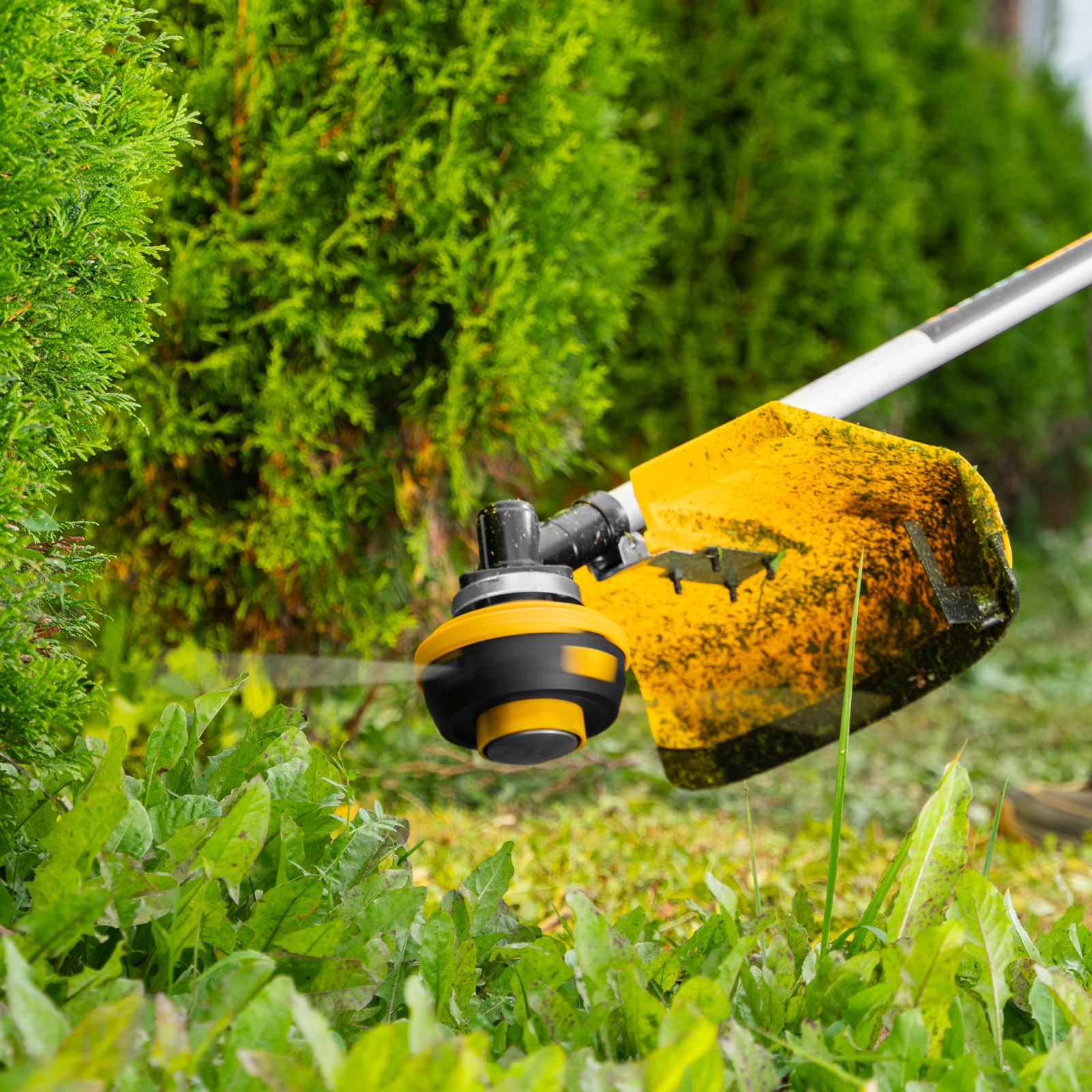 Miniatura da imagem do produto 27