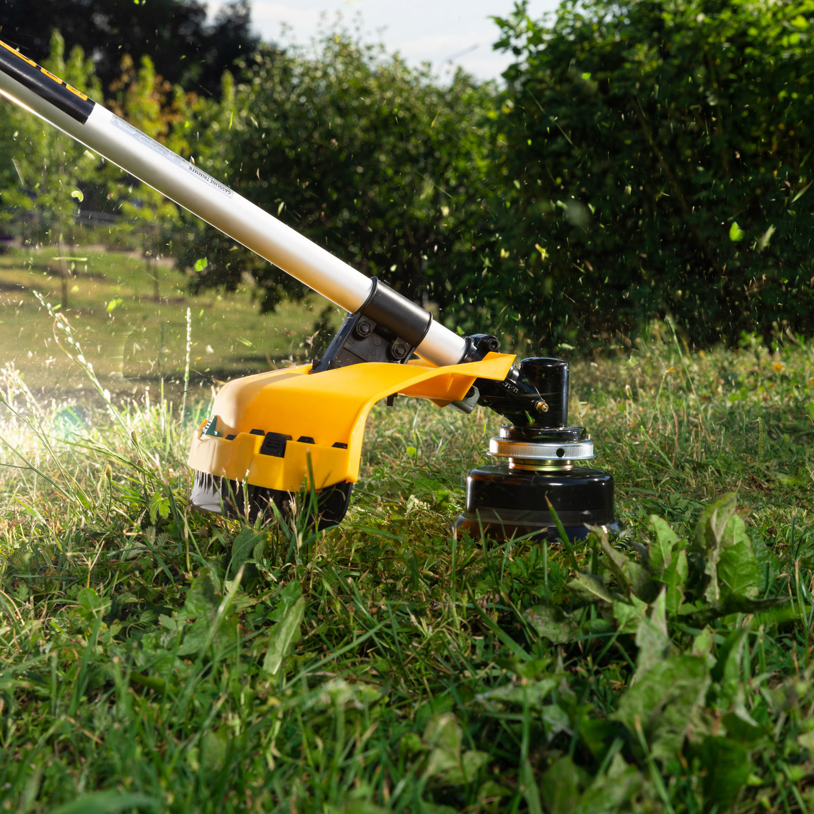 Miniatura da imagem do produto 23