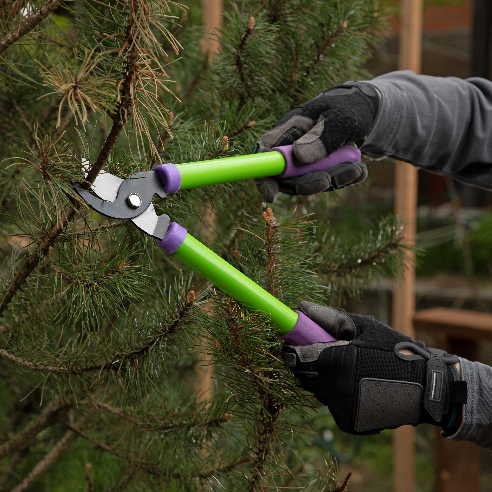 Miniatura da imagem do produto 7