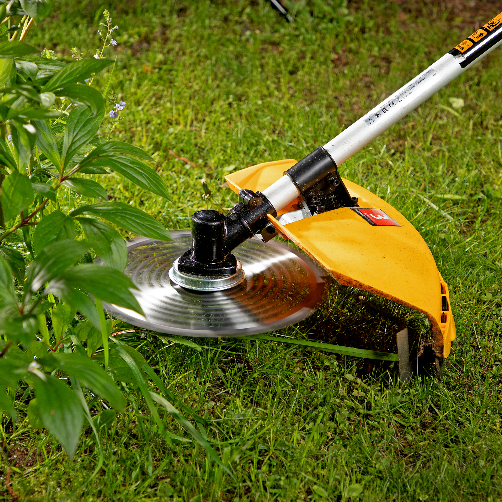Miniatura da imagem do produto 24