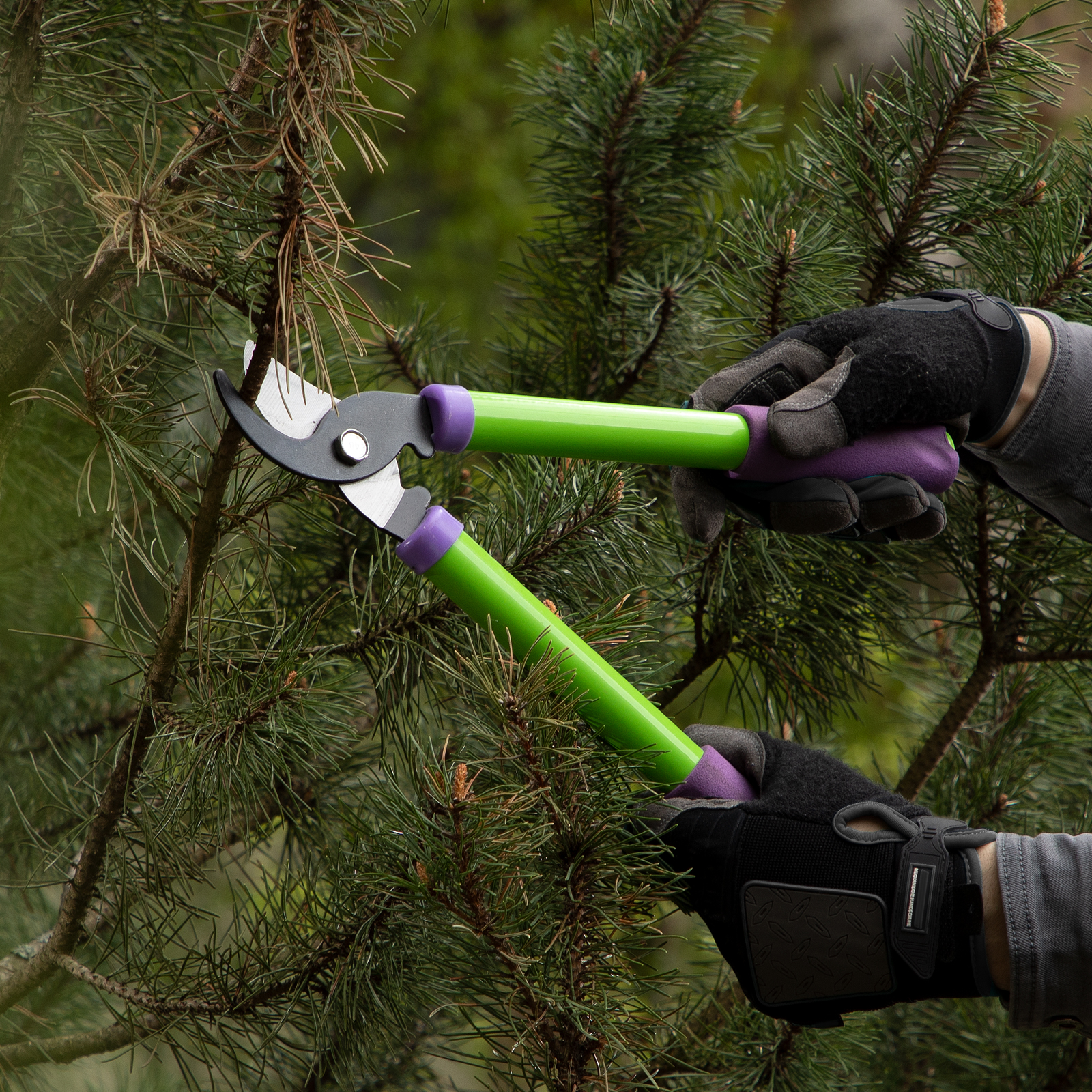 Miniatura da imagem do produto 6